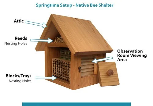 The Original Bee House Kit — Osmia Bee | Raise Native Bees in your